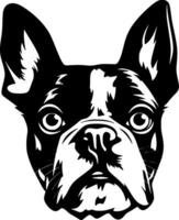 bostón terrier, negro y blanco vector ilustración