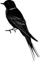 AI generated Silhouette swallow bird black color only full body vector