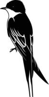 AI generated Silhouette swallow bird black color only full body vector