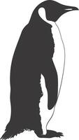 AI generated silhouette penguin black color only full body vector