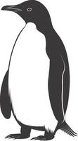 AI generated silhouette penguin black color only full body vector