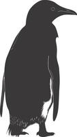 AI generated silhouette penguin black color only full body vector