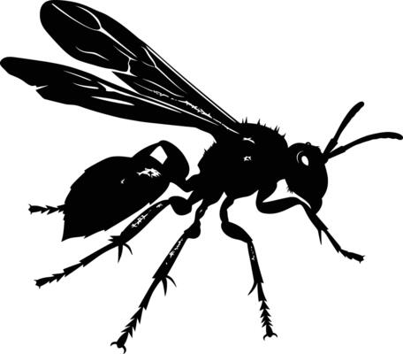 AI generated Silhouette wasp animal black color only full body