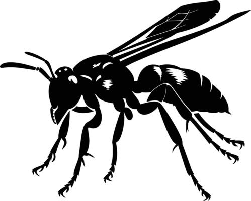AI generated Silhouette wasp animal black color only full body