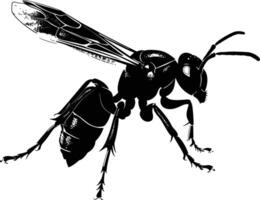 AI generated Silhouette wasp animal black color only full body vector
