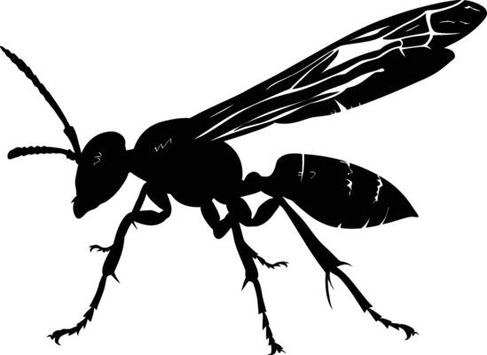 AI generated Silhouette wasp animal black color only full body