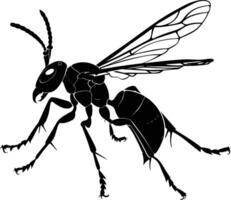 AI generated Silhouette wasp animal black color only full body vector