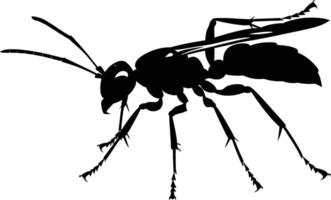 AI generated Silhouette wasp animal black color only full body vector