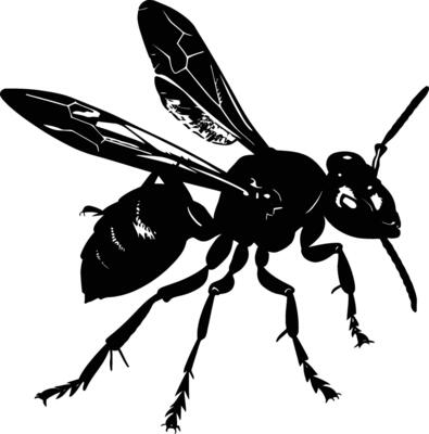 AI generated Silhouette wasp animal flaying black color only full body