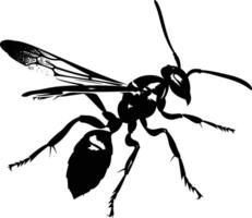 AI generated Silhouette wasp animal flaying black color only full body vector