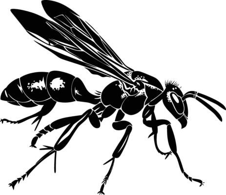 AI generated Silhouette wasp animal flaying black color only full body