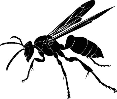 AI generated Silhouette wasp animal flaying black color only full body