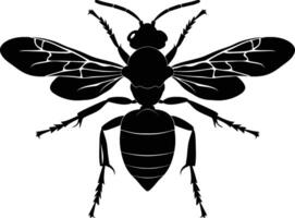 AI generated Silhouette wasp animal from top black color only full body vector