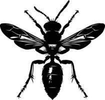 AI generated Silhouette wasp animal from top black color only full body vector