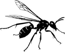 AI generated Silhouette wasp animal flaying black color only full body vector