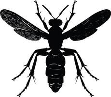 AI generated Silhouette wasp animal from top black color only full body vector