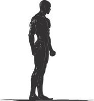 AI generated Silhouette Bodybuilding black color only full body vector