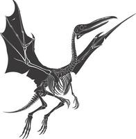 AI generated Silhouette Dinosaur Pterodactyl skeleton black color only vector