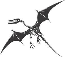 AI generated Silhouette Dinosaur Pterodactyl skeleton black color only vector