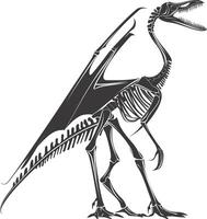 AI generated Silhouette Dinosaur Pterodactyl skeleton black color only vector