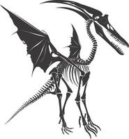 AI generated Silhouette Dinosaur Pterodactyl skeleton black color only vector