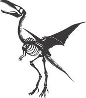 AI generated Silhouette Dinosaur Pterodactyl skeleton black color only vector