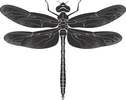 AI generated Silhouette Dragonfly black color only full body vector