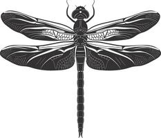 AI generated Silhouette Dragonfly black color only full body vector