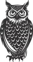 AI generated Silhouette owl animal black color only full body vector