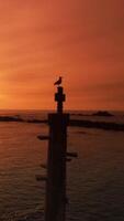 verticale vidéo de magnifique Orange mer plage le coucher du soleil video
