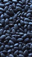 Vertical Video of Black Beans as Background