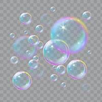 Soap bubbles, illustrations of realistic transparent soap bubbles on transparent cut out background vector