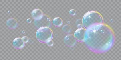 Soap bubbles, illustrations of realistic transparent soap bubbles on transparent cut out background vector