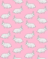 Vector seamless pattern of hand drawn bunny