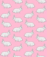 Vector seamless pattern of hand drawn bunny