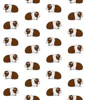 Vector seamless pattern of hand drawn Guinea pig