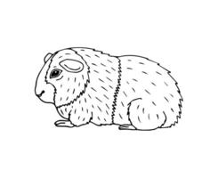Vector hand drawn doodle sketch Guinea pig