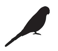 Vector hand drawn doodle budgie parrot silhouette