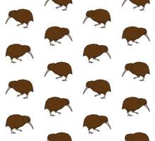 Vector seamless pattern of hand drawn kiwi bird
