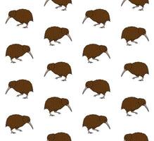 Vector seamless pattern of hand drawn kiwi bird