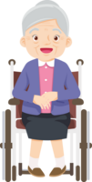 elderly woman on wheelchair png