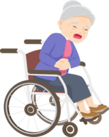 elderly woman on wheelchair png