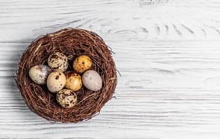 Top view of a nest from twigs with quail eggs on the wooden background. Spotted raw quail eggs lying in the bezel. Space for text photo