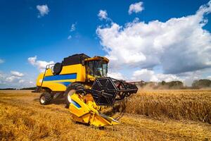 especial máquina cosecha cosecha en campos, agrícola técnica en acción. maduro cosecha concepto. cosecha panorama. cereal o trigo reunión. pesado maquinaria, azul cielo encima campo. foto