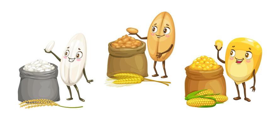 Rice, wheat, corn, cartoon grain cereal characters