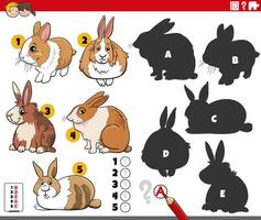 finding shadows activity with cartoon rabbits animals vector