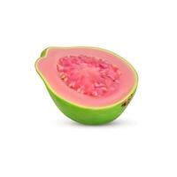 Ripe realistic guava fruit half with small seeds vector