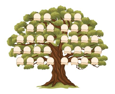 Genealogy family tree photo frames ancestry branch