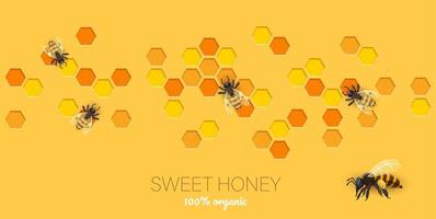 Honeycomb paper cut banner with bees and honey vector