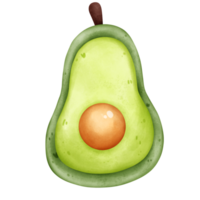 Half vertical avocado illustration in hand draw watercolor isolated png